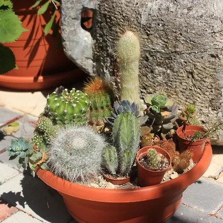 Appartamento By The Sea Orebic, Peljesac - 4525 *