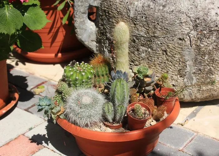 Appartamento By The Sea Orebic, Peljesac - 4525 *