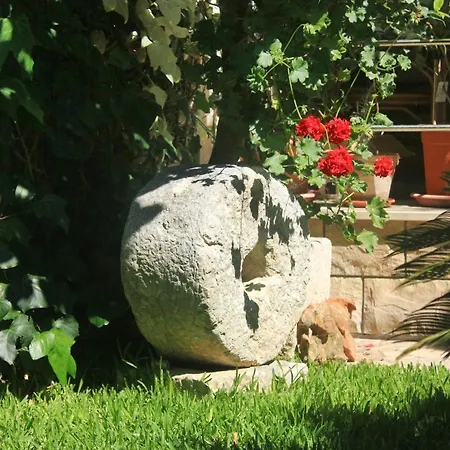 公寓 By The Sea Orebic, Peljesac - 4525 *