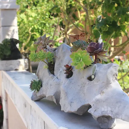 By The Sea Orebic, Peljesac - 4525 公寓