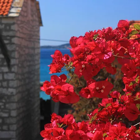 By The Sea Orebic, Peljesac - 4525 Apartment *