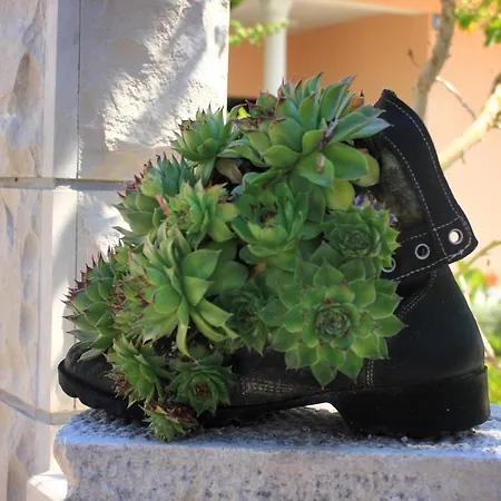 By The Sea Orebic, Peljesac - 4525 * Orebic